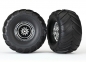 Preview: Terra Groove Reifen auf Felgen chrom hinten (2)