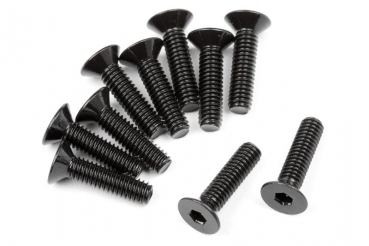 Flat Head Screw M2.5X10Mm (Hex Socket/10Pcs)