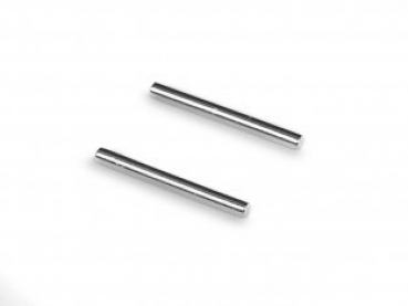 REAR LOWER HINGE PIN (2PCS)