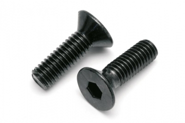 Flat Head Screw M6X16Mm (2Pcs)