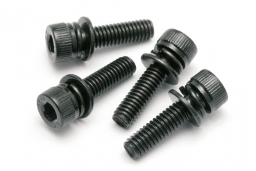 Cap Head Screw M4X15Mm With Washer (4Pcs)