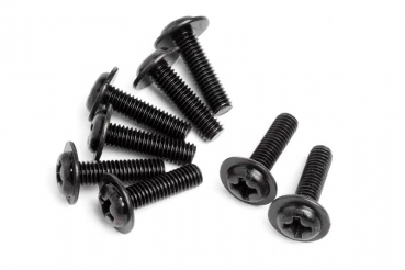 DOMED HEAD DISC SCREW M3X10 (8 )