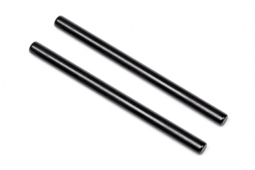 Hinge Pin (Rear/Outer)