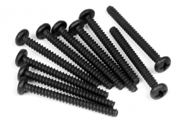 Tp. Binder Head Screw M3X30Mm (10Pcs)
