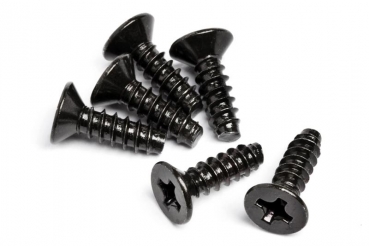 Tp Flat Head Screw M3 X 10Mm (6 Pcs)