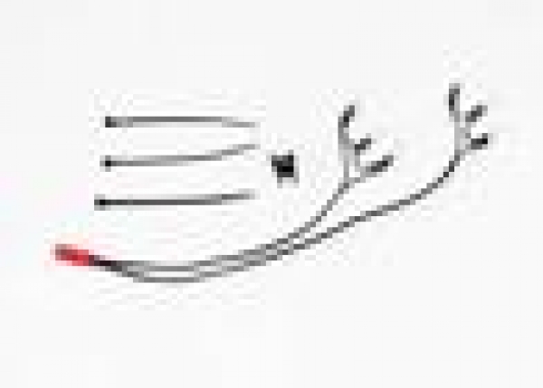LED Licht hinten (6x Rotlicht)