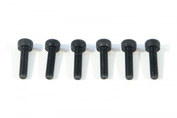 Cap Head Screw M3X12Mm(6Pcs)