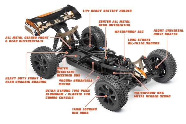 DESERTWOLF 1/8 4WD BUGGY