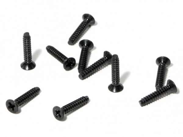 Flat Head Screw M2 X 10Mm (10 Pcs)