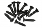 Tp. Flat Head Screw M3X15Mm