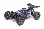 ION XB 1/18 4WD ELECTRIC BUGGY